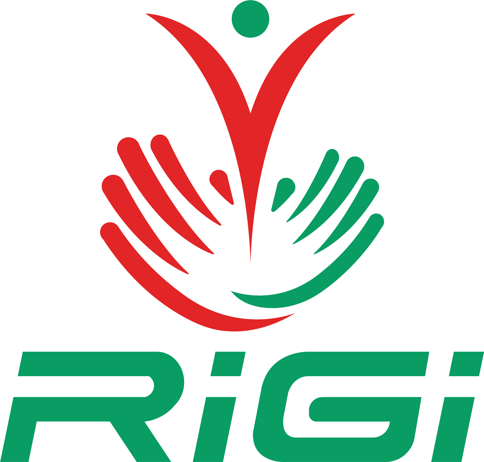 Rigi Group LLC Logo